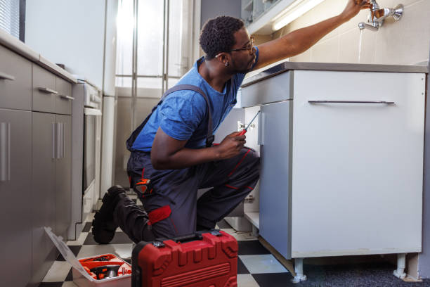 Best Commercial Plumbing Services  in Belle Plaine, MN